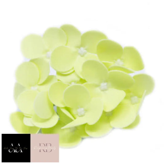 10X Craft Soap Flower - Hyacinth Bean Spring Green