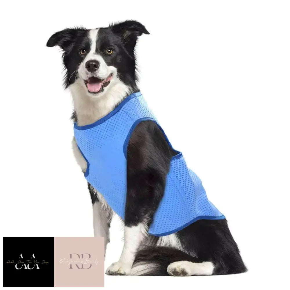 Smart Choice Pet Cooling Vest Reusable Dog Coat Lightweight- Small