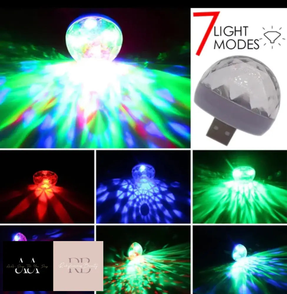 Voice Activated Disco Light